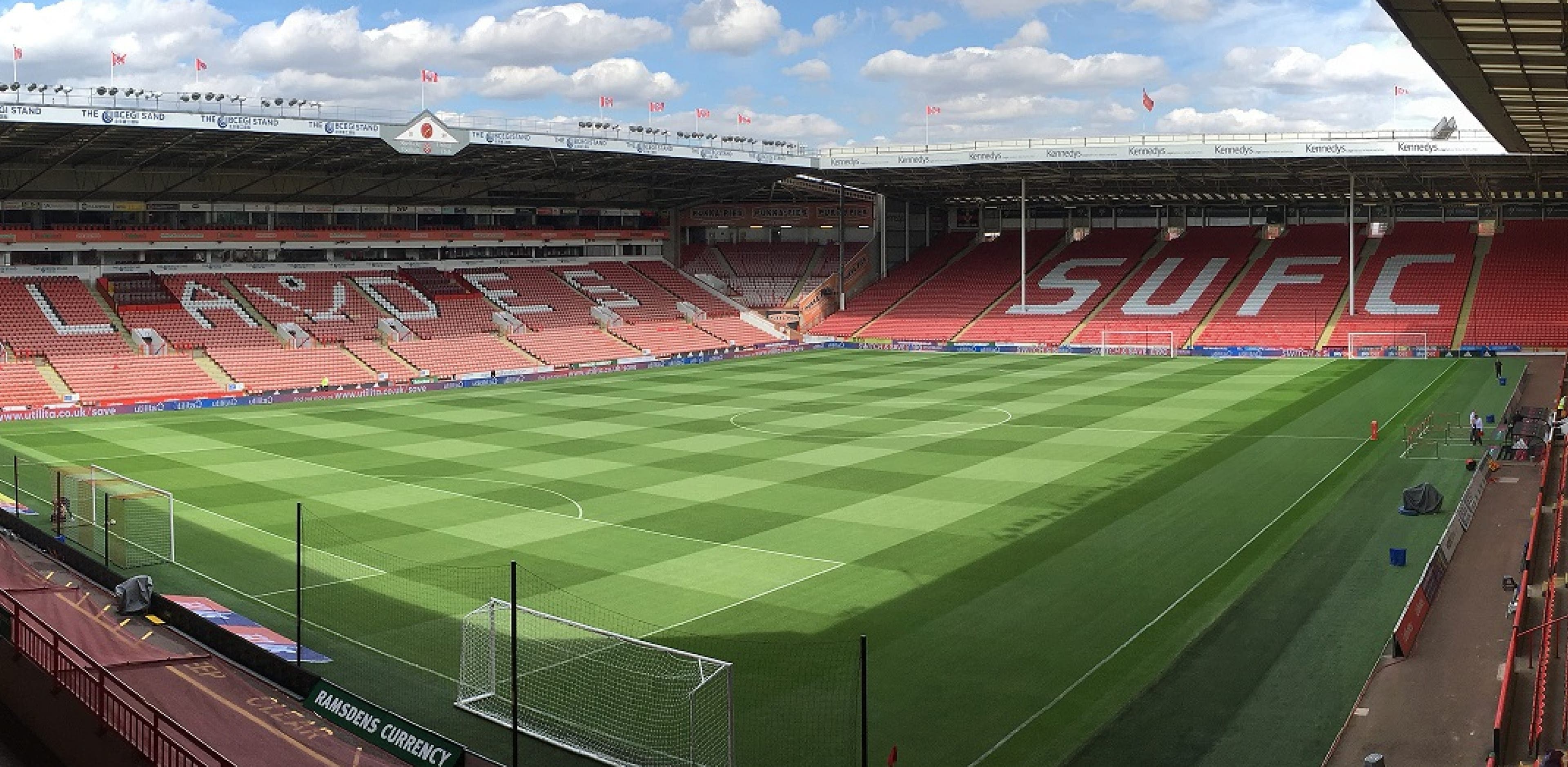 Sufc Pitch Large