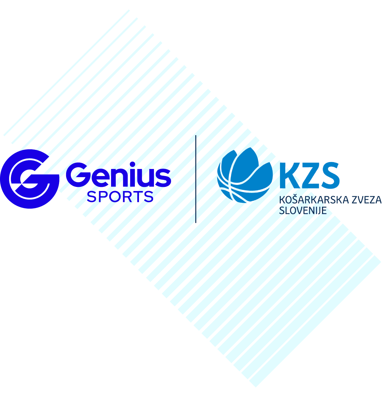 gs-customer-stories-website_logo-slovenian-basketball