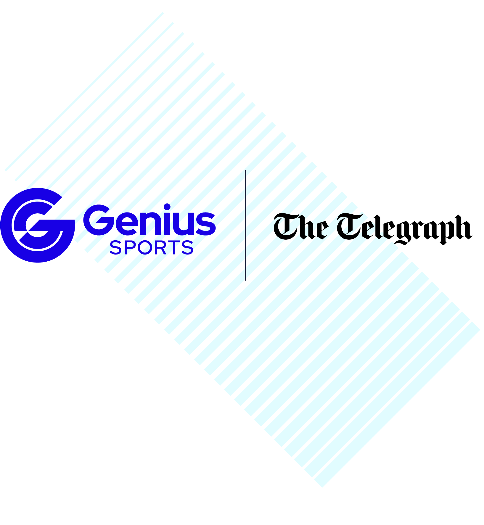 gs-customer-stories-website_logo-telegraph